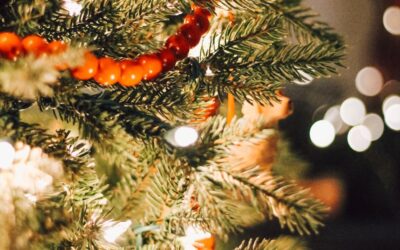 Worship and Production Teams Christmas Party